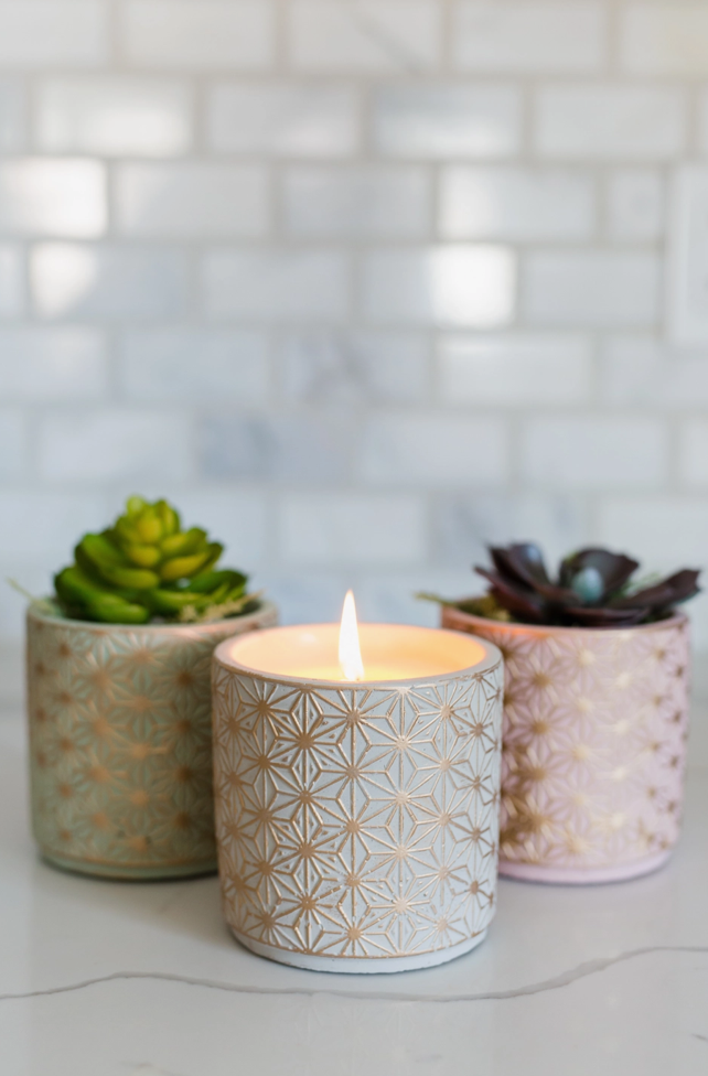 Garden Terrace Vanilla Orchid Concrete Candle 15oz