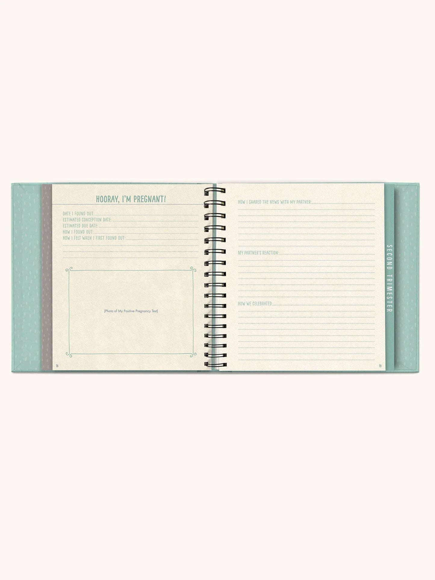 Bump For Joy Guided Journal