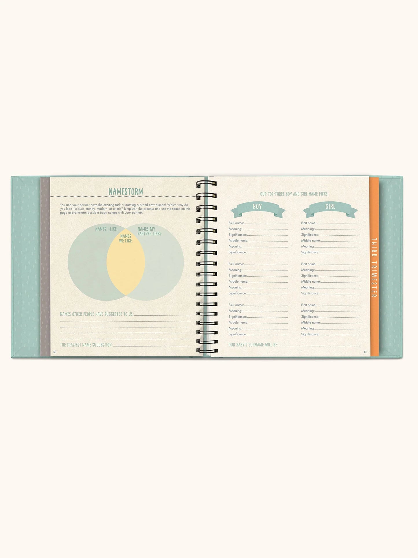 Bump For Joy Guided Journal