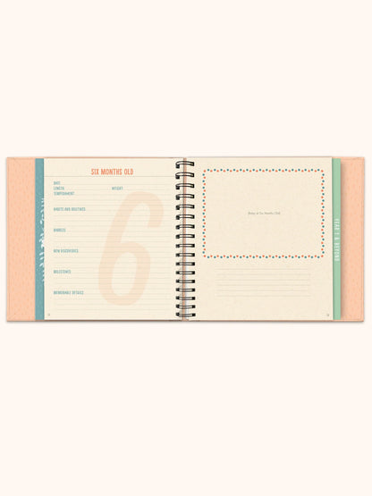 Bundle of Joy! Baby's First Years Journal